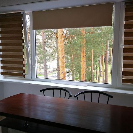 Light One Room Apartment วิซากินาส ภายนอก รูปภาพ