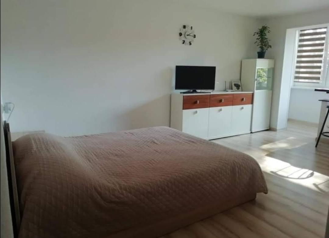 Light One Room Apartment วิซากินาส ภายนอก รูปภาพ