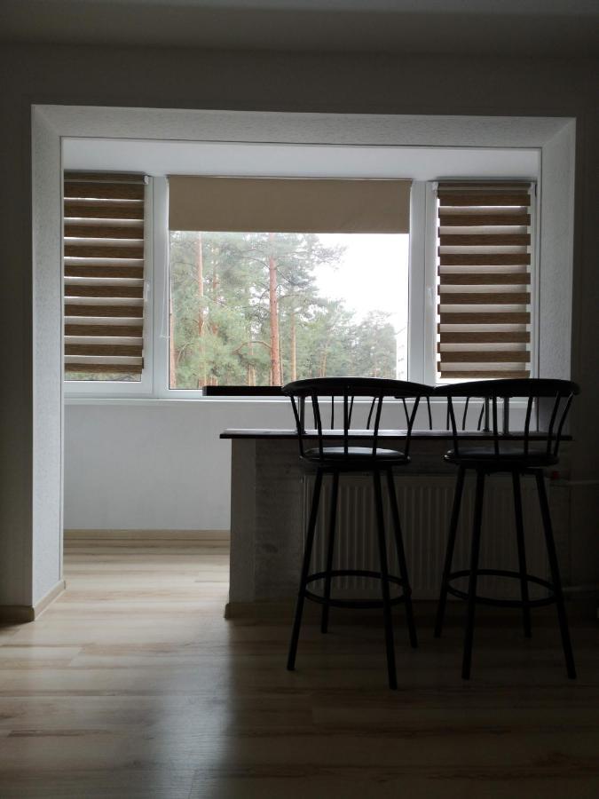 Light One Room Apartment วิซากินาส ภายนอก รูปภาพ